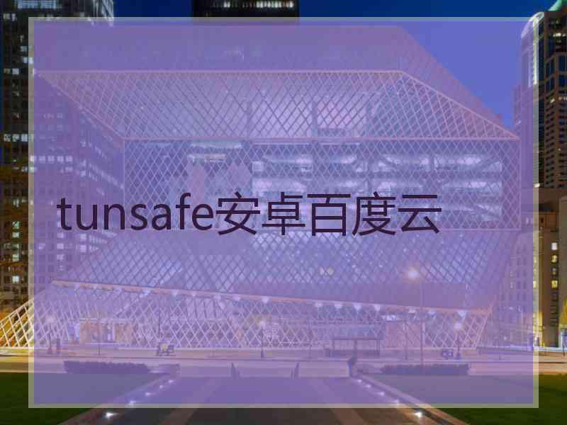 tunsafe安卓百度云