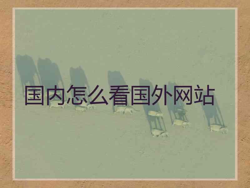 国内怎么看国外网站