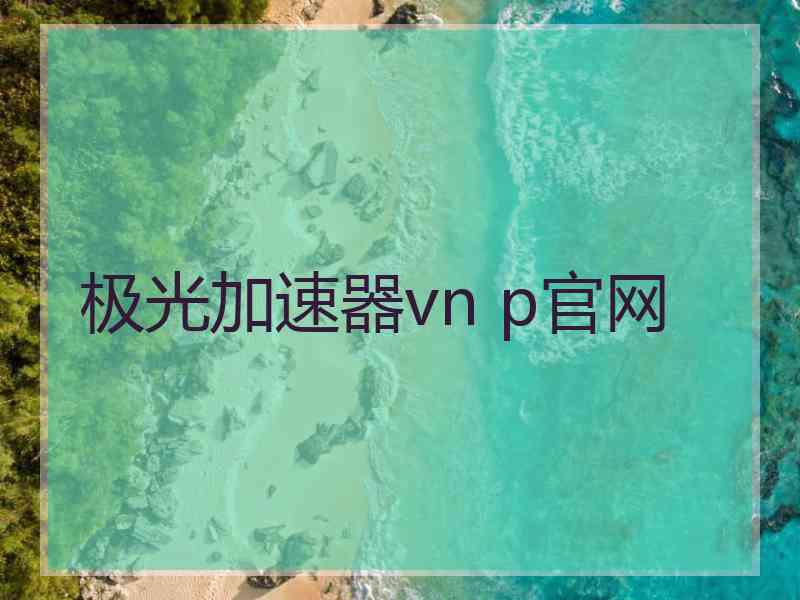 极光加速器vn p官网