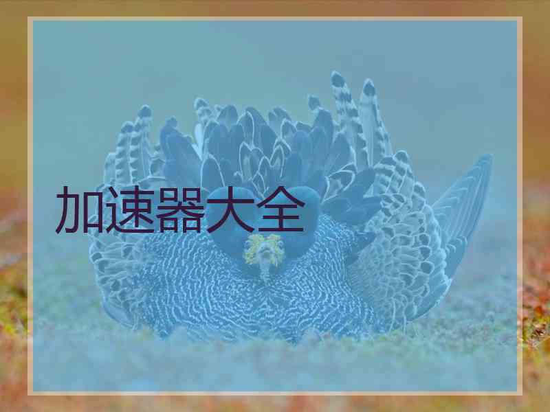 加速器大全
