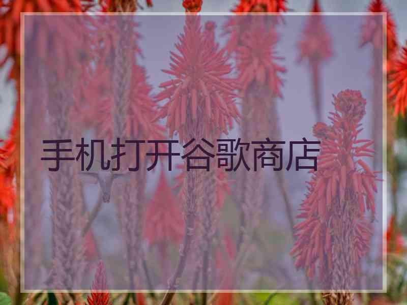 手机打开谷歌商店