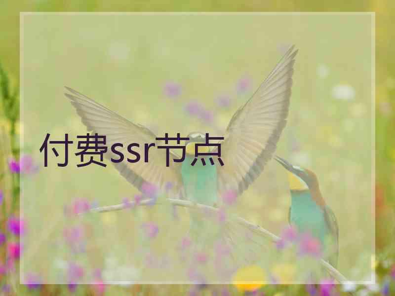 付费ssr节点