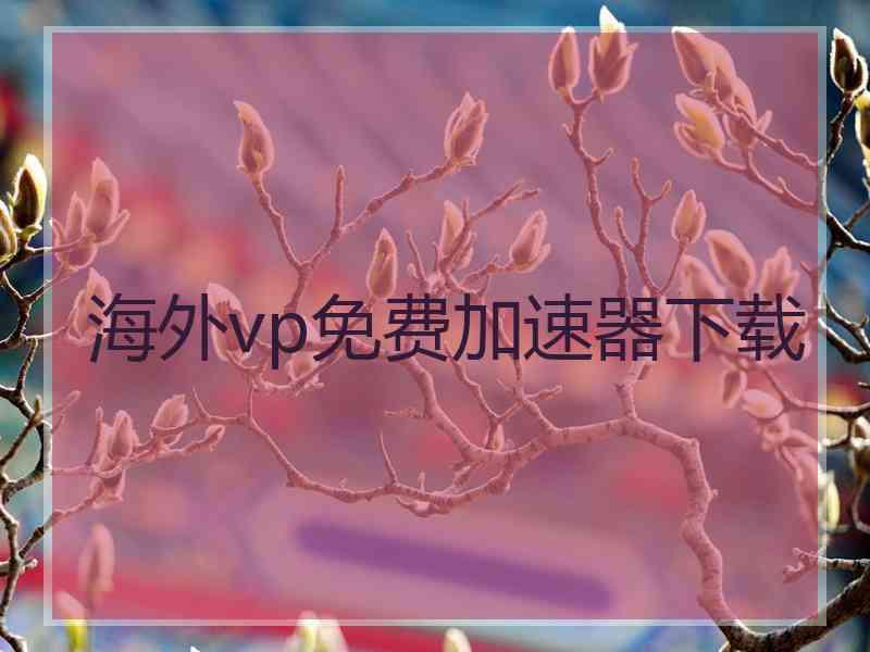 海外vp免费加速器下载