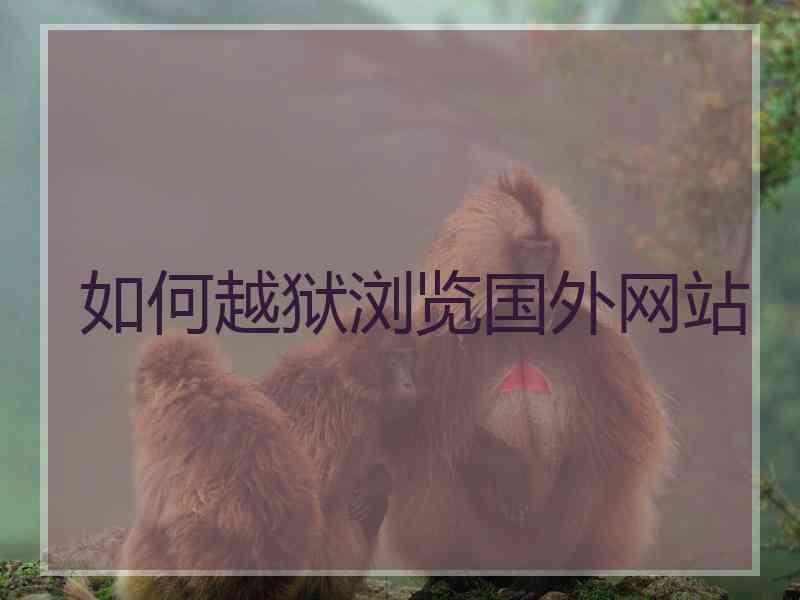 如何越狱浏览国外网站