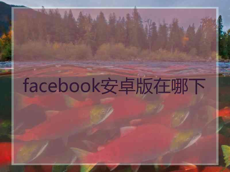 facebook安卓版在哪下