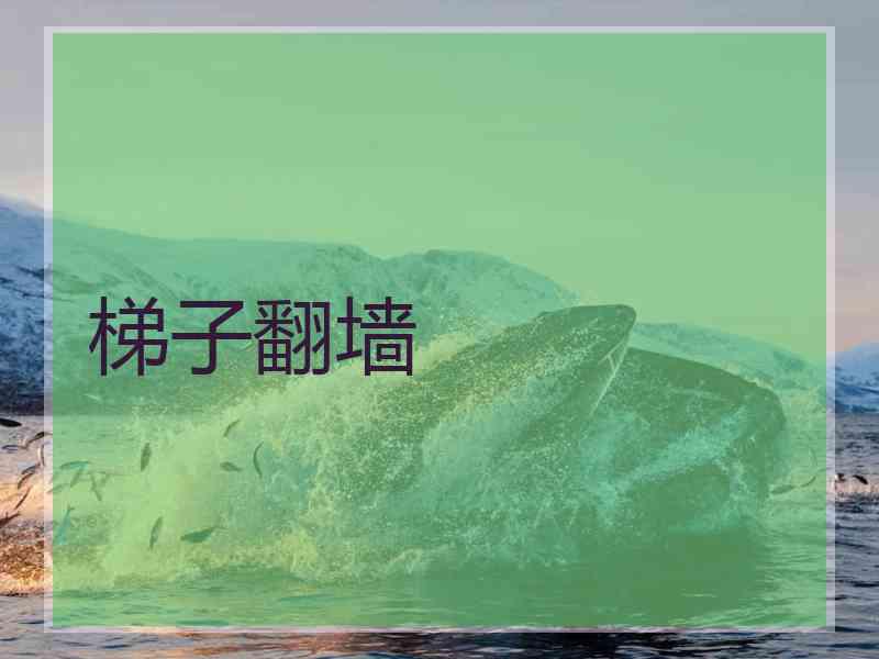 梯子翻墙