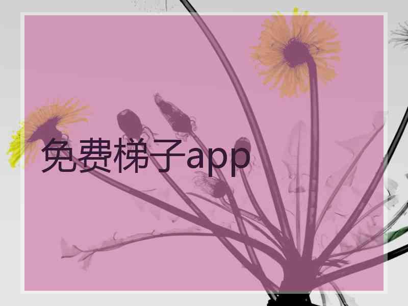 免费梯子app
