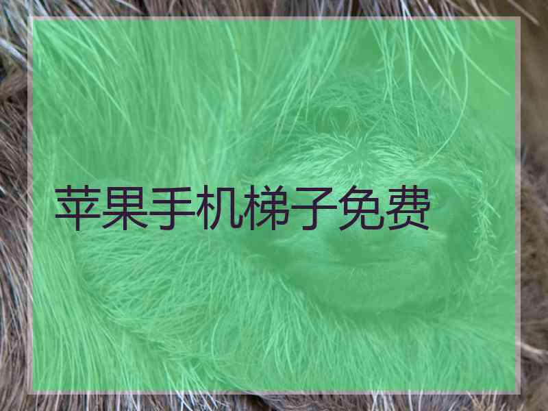 苹果手机梯子免费