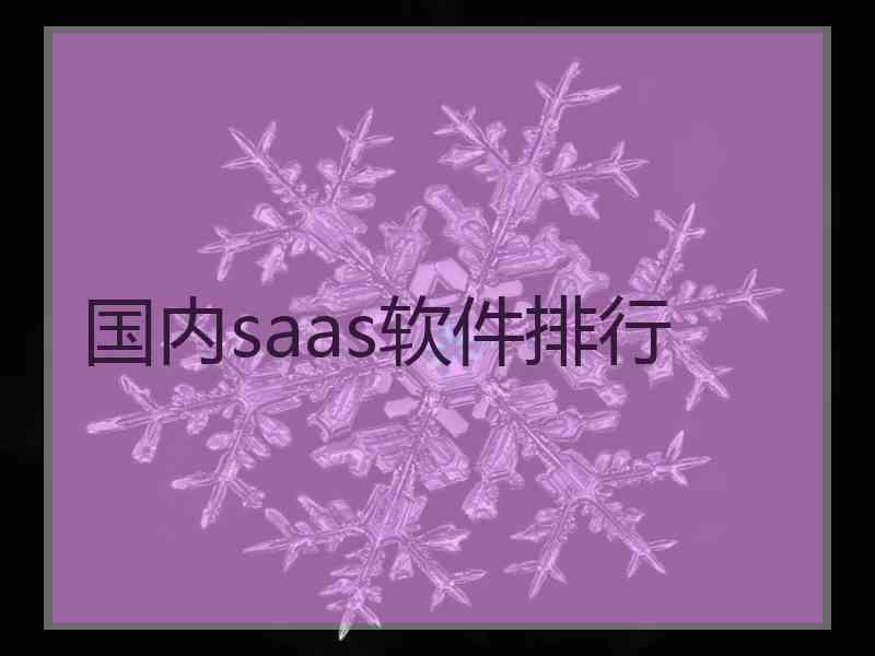 国内saas软件排行