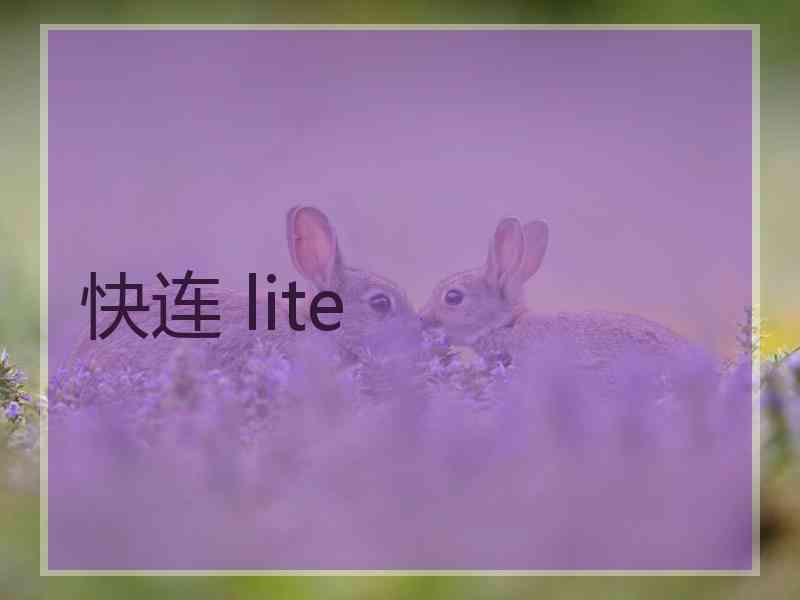 快连 lite