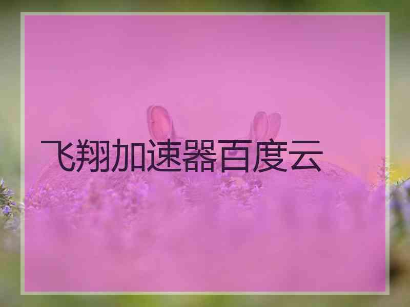 飞翔加速器百度云