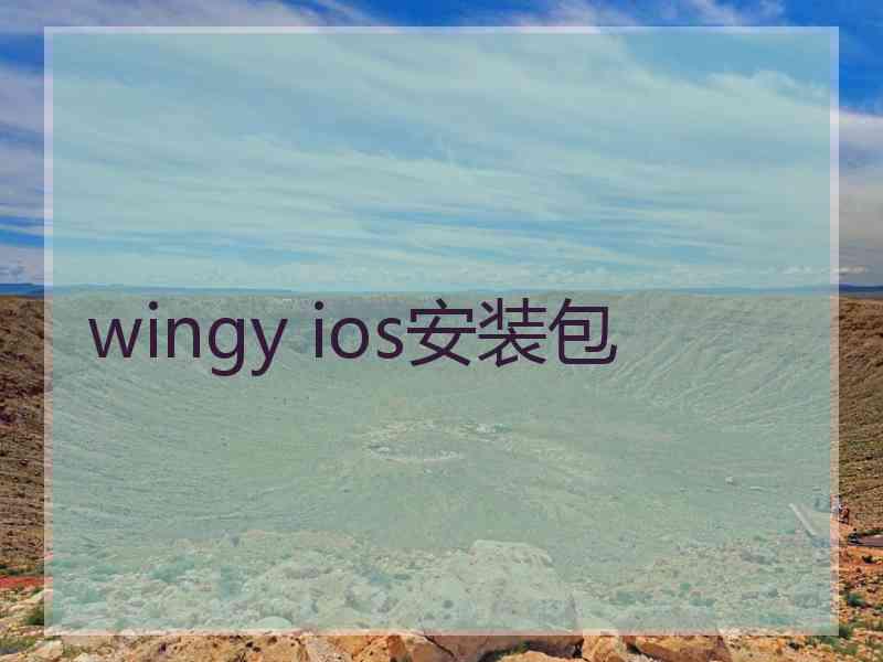 wingy ios安装包