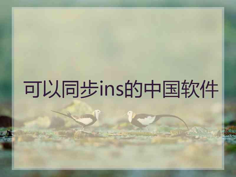 可以同步ins的中国软件