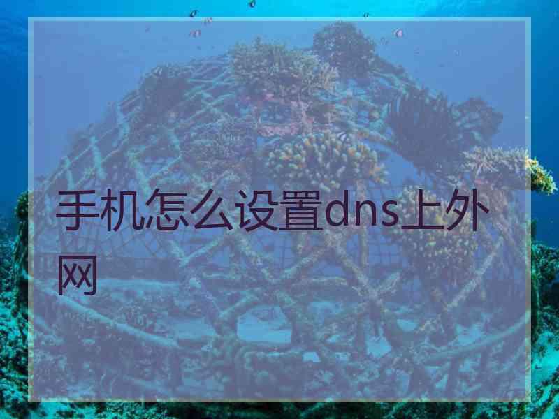 手机怎么设置dns上外网