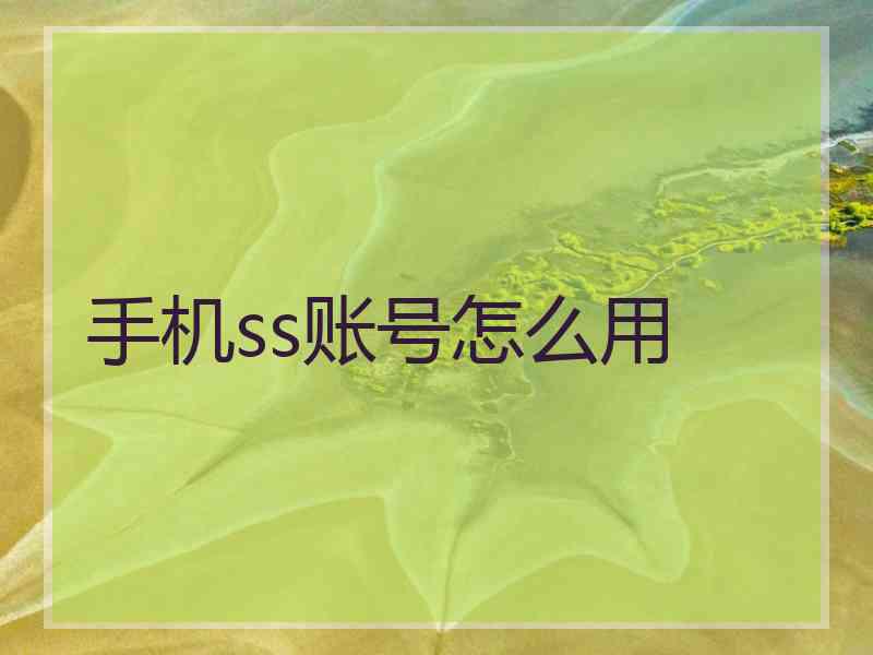 手机ss账号怎么用