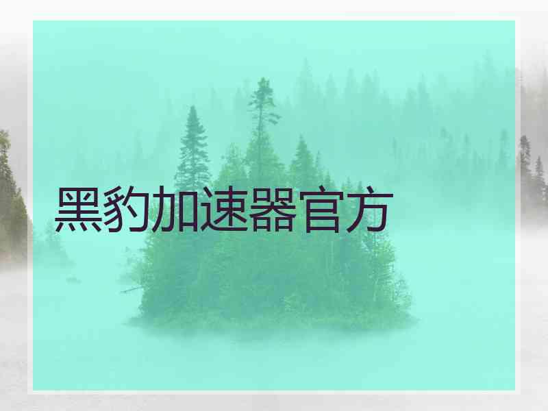黑豹加速器官方