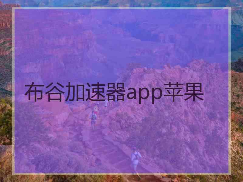 布谷加速器app苹果