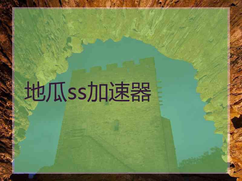 地瓜ss加速器
