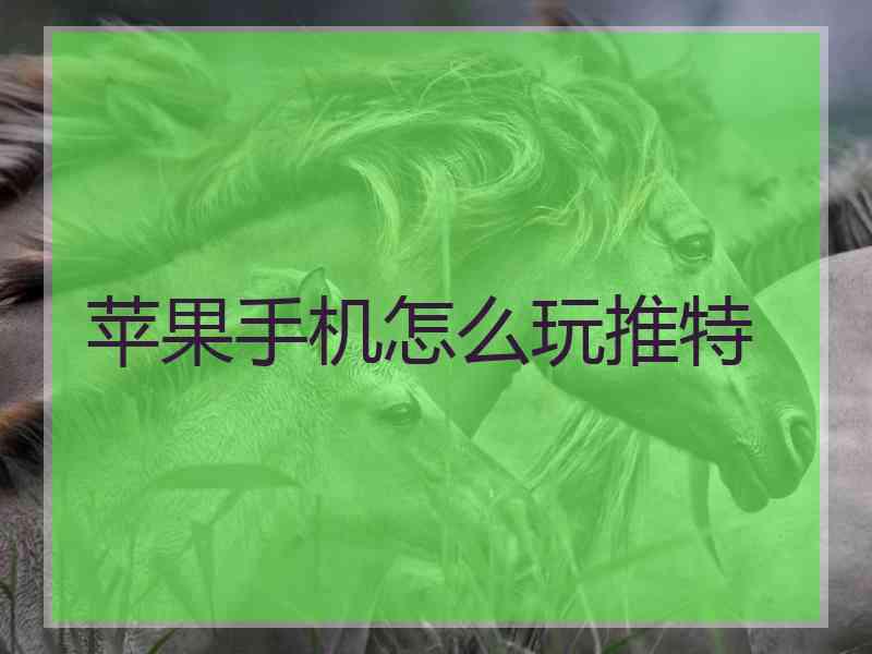 苹果手机怎么玩推特