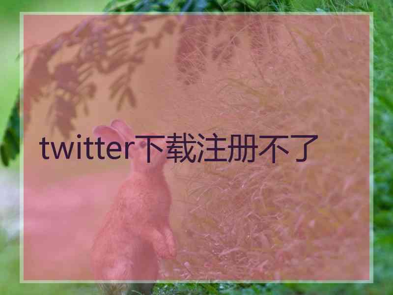 twitter下载注册不了