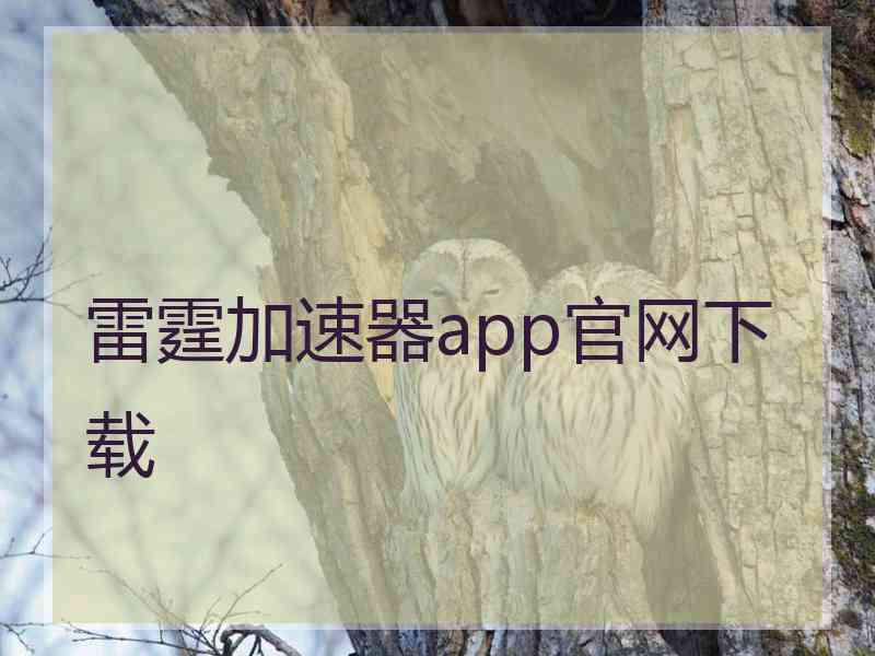 雷霆加速器app官网下载