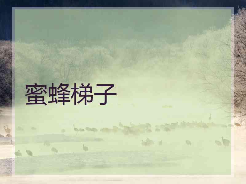 蜜蜂梯子