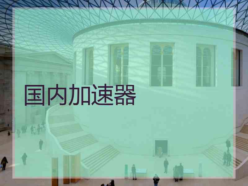 国内加速器