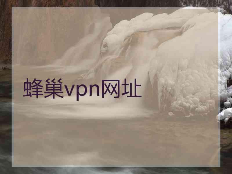 蜂巢vpn网址