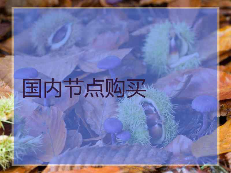 国内节点购买