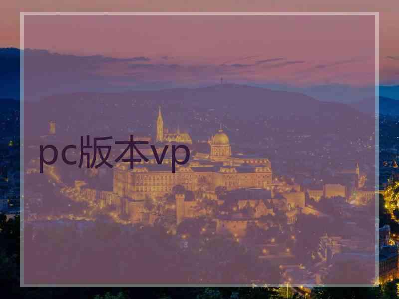 pc版本vp