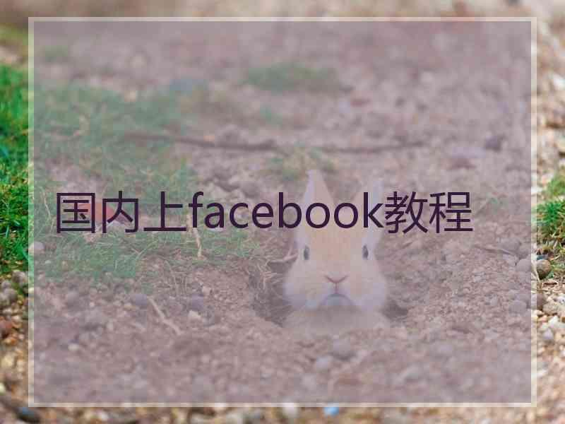 国内上facebook教程