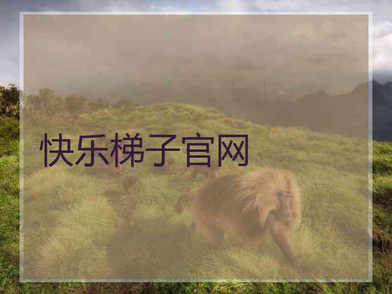 快乐梯子官网