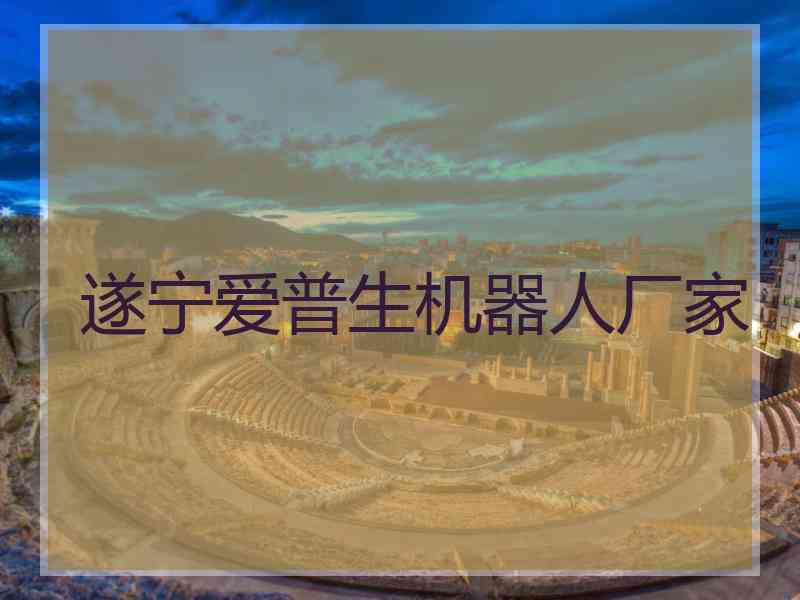 遂宁爱普生机器人厂家