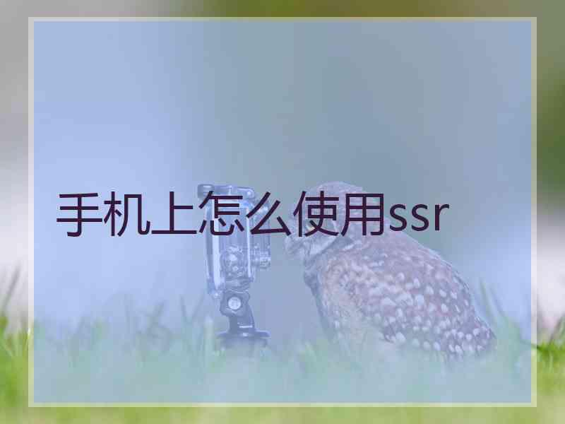 手机上怎么使用ssr