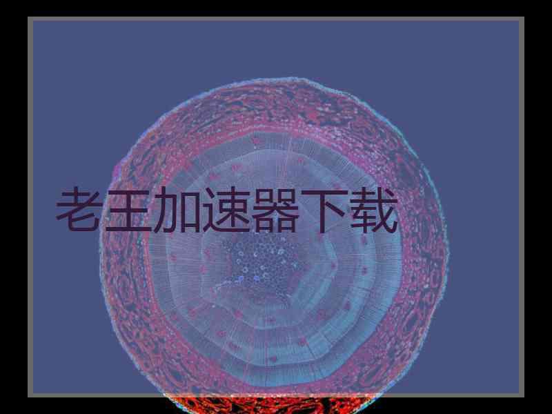 老王加速器下载