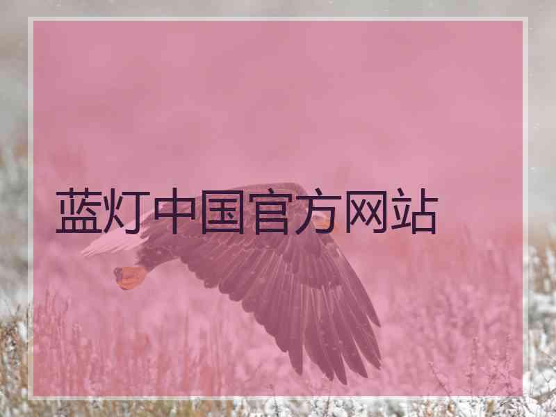 蓝灯中国官方网站