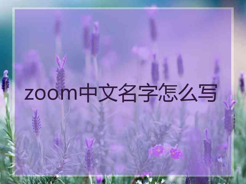 zoom中文名字怎么写