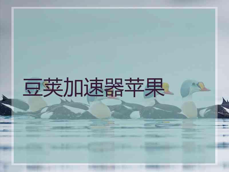 豆荚加速器苹果