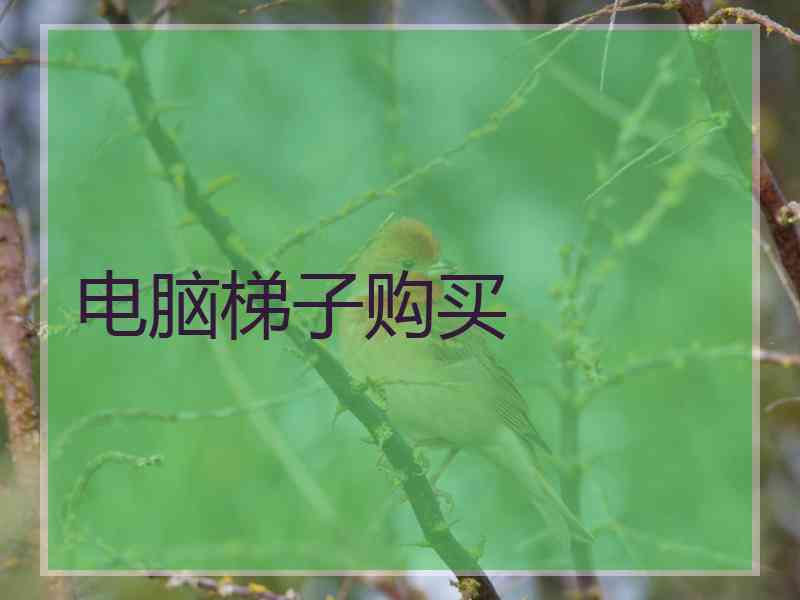 电脑梯子购买