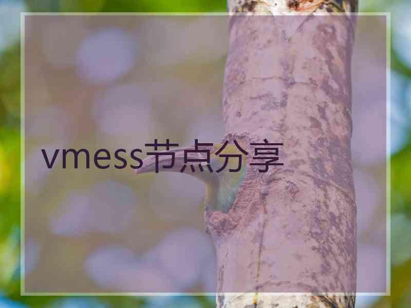 vmess节点分享