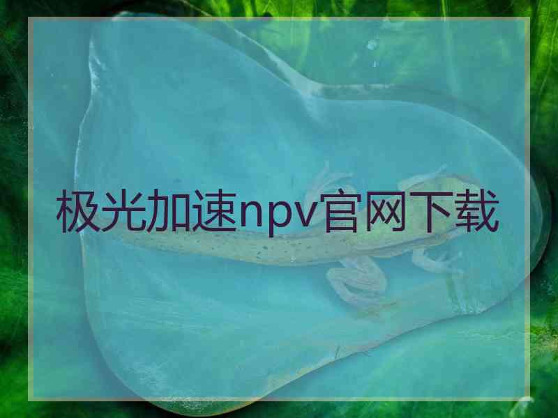 极光加速npv官网下载