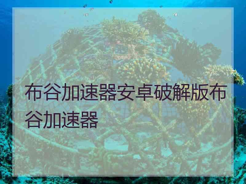 布谷加速器安卓破解版布谷加速器