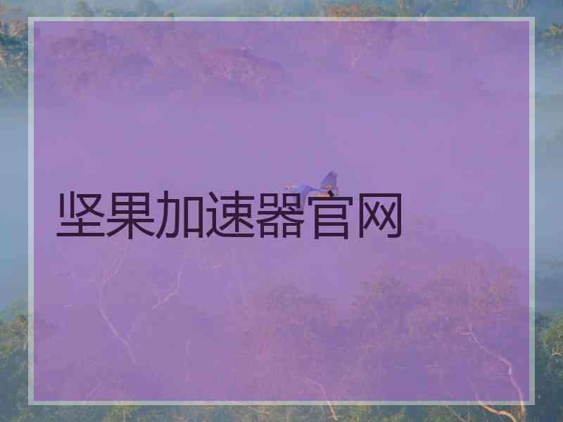 坚果加速器官网