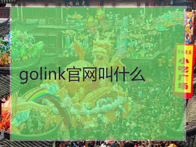 golink官网叫什么