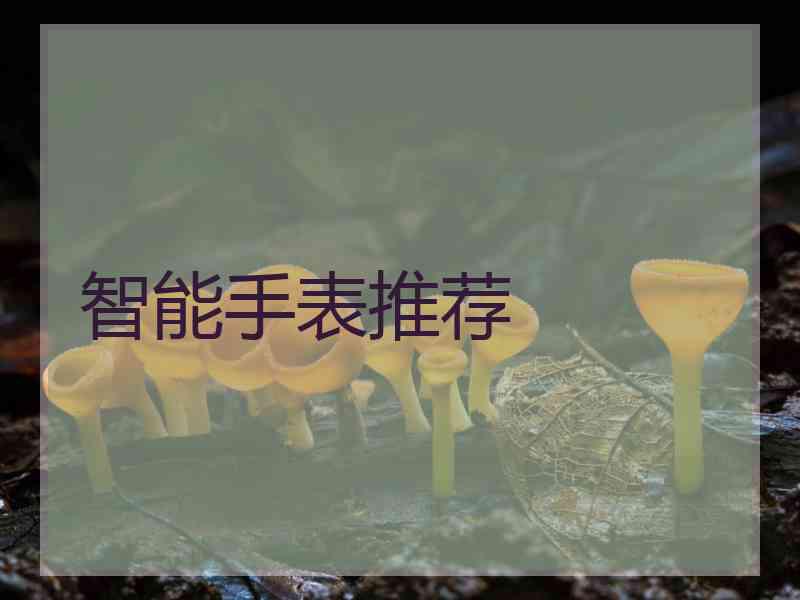 智能手表推荐