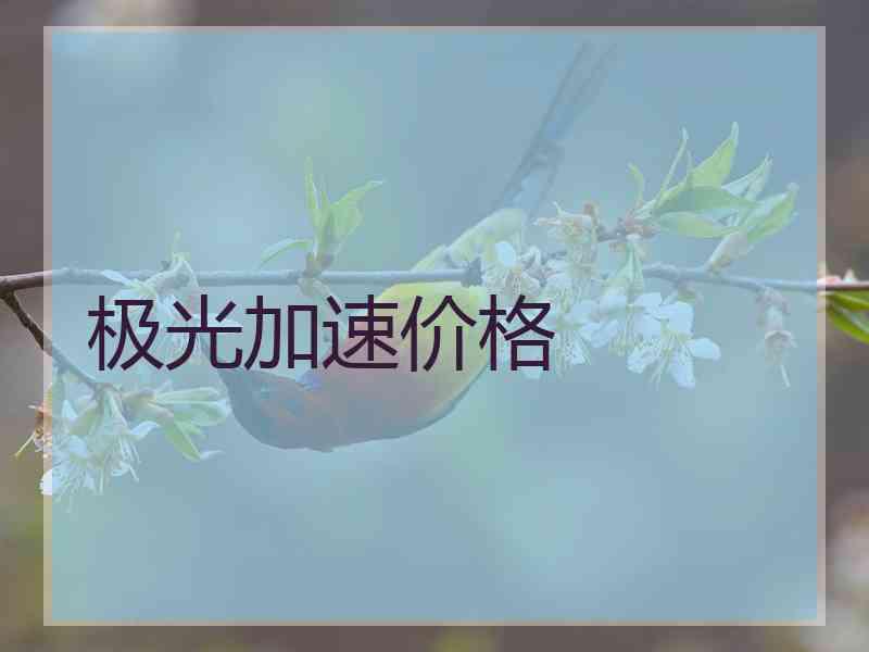 极光加速价格