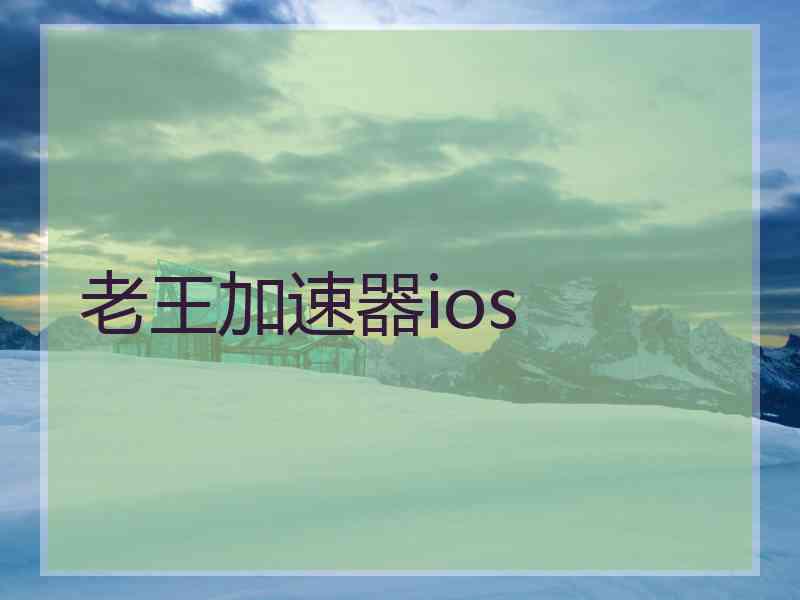 老王加速器ios