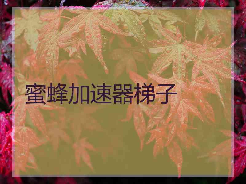 蜜蜂加速器梯子