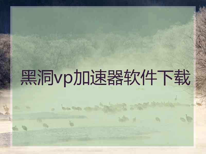 黑洞vp加速器软件下载