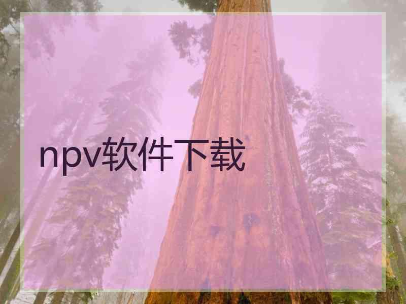 npv软件下载